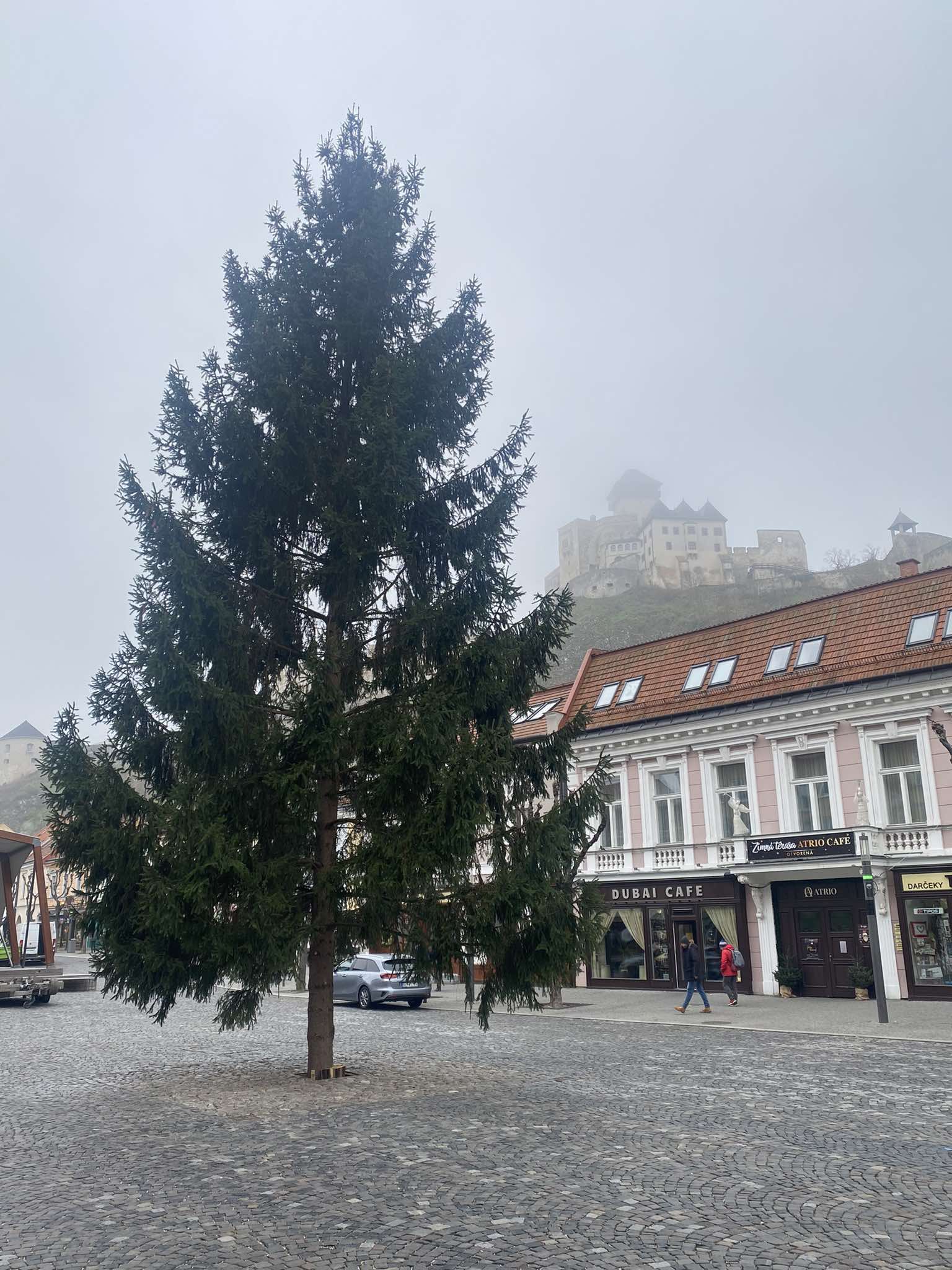 NA MIEROVOM NÁMESTÍ UŽ STOJÍ VIANOČNÝ STROMČEK! 🎄